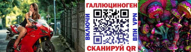 KRAKEN маркетплейс  цена наркотик  Дигора  Псилоцибиновые грибы Psilocybe 