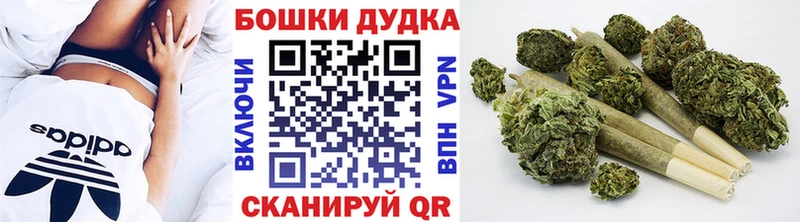 Конопля ГИДРОПОН  Дигора 